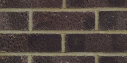 Brindle LBC (390)