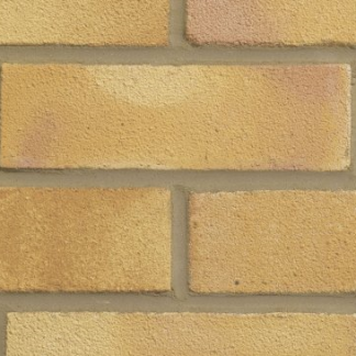 Golden Buff LBC (390)
