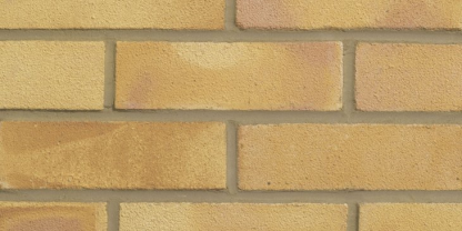 Golden Buff LBC (390)