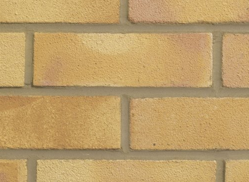 Golden Buff LBC (390)