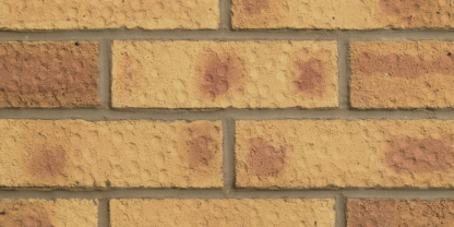 Saxon Gold LBC (390)