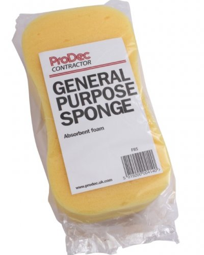 Sponge - Giant general purpose (FBS) (12)