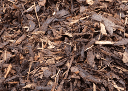 Ornamental Bark 8-35mm (Bulk Bag)